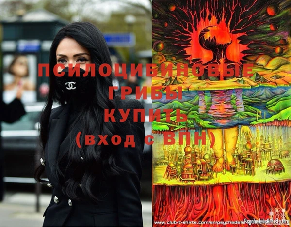 ГАЛЛЮЦИНОГЕННЫЕ ГРИБЫ Алексин