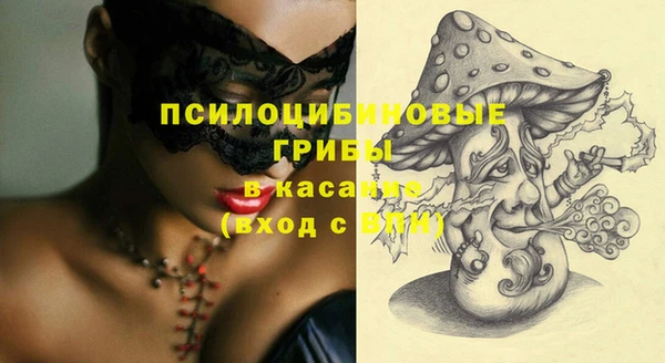ГАЛЛЮЦИНОГЕННЫЕ ГРИБЫ Алексин
