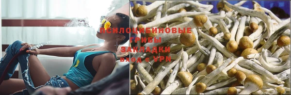 дмт Алексеевка